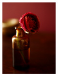 Red Flower in Glass Jar Posters
