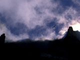 Birds Flying over Cliffs at Twilight Photographie par Paul Nicklen