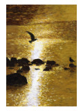 Seagull Flying over Water Print