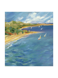Sailboats Near the Coast Prints