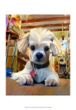 Mazel Dog Prints by Robert Mcclintock