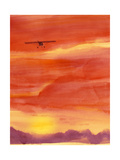 Airplane in Orange Sunset Print