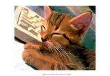 Kitten on Keys Prints by Robert Mcclintock