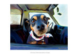 Little Dobie Prints by Robert Mcclintock