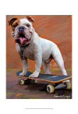 Bull Dog Nose Grind Print by Robert Mcclintock