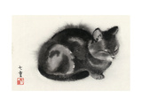Sleeping Gray Cat - Poster Sleeping Gray Cat - Poster