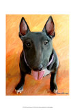 Bull Terrier Rhino Stampe di Robert Mcclintock