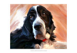 Springer Prints by Robert Mcclintock