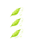 Three Peapods Prints