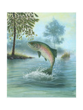 Rainbow Trout Jumping Prints
