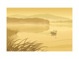 Swan Couple Affiches