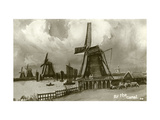 Windmills Prints