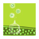Green and White Flowers Prints