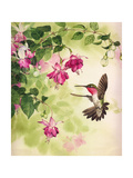 Hummingbird with Flowers Art