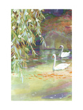 Two Swans Prints