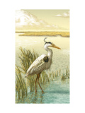 White Crane Photo