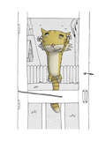 Cat on Screen Door Prints