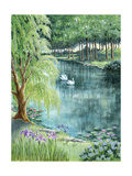 Two Swans on a Pond Posters