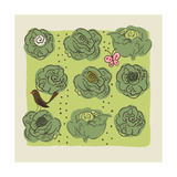 Beautiful Heads of Lettuce Prints