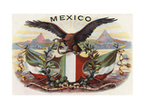 Mexican Flag and Eagle Print