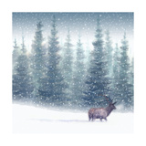 Elk in Snow Posters