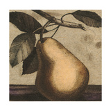 Pear on Branch Print