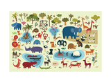 Zoo Animals Posters Zoo Animals Posters