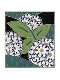 Abstract White Flowers Prints