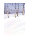 Winter Landscape with Birch Trees Prints