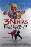 3 Ninjas Prints