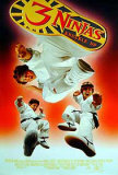 3 Ninjas Knuckle Up Pósters