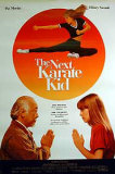 The Next Karate Kid Affiches