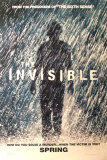 The Invisible Láminas