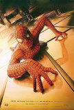 Spiderman Lámina