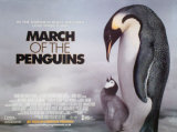 March Of The Penguins Posters