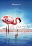 The Crimson Wing: Mystery Of The Flamingos Posters