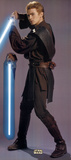 Star Wars Episode 11 Print
