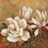Sweet Magnolia II Poster by Elaine Vollherbst-Lane