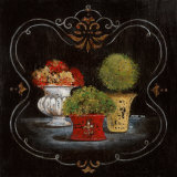 Francais Fleuriste II Láminas