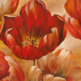 Sunlit Bloom I Posters by Nan 