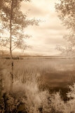 Peaceful Morning I Poster by Monte Nagler