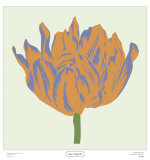 Soho Tulip III Posters by Zachary Alexander