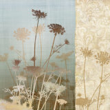 Delicate Fields II Prints by Conrad Knutsen