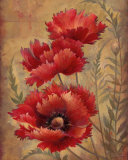 Poppy Passion II Art par Elaine Vollherbst-Lane