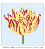 Soho Tulip Petite II Prints by Zachary Alexander