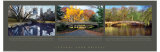 Central Park Bridges Prints by Phil Maier