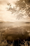 Peaceful Morning II Affiches par Monte Nagler