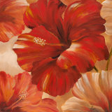 Sunlit Bloom II Prints by Nan