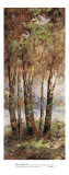 River Birch II Prints by Cory Bannister