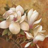 Sweet Magnolia I Posters par Elaine Vollherbst-Lane